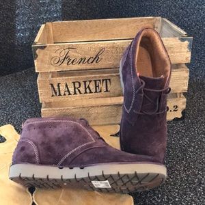 NWOT CLARKS UN ASTIN CHUKKA BOOT SIZE 8. Aubergine